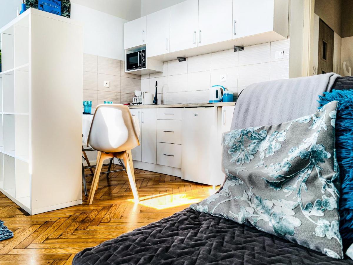 Apartment Next To Wawel Castle, Vistula River & Old Town Cracow Krasków Εξωτερικό φωτογραφία